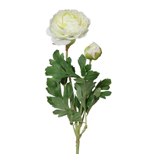 Ranunkel  Weiß mit 1 Blüte + 1 Knospe Seidenblume 40cm