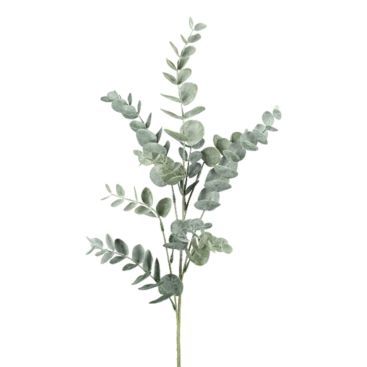 [Preise wurden überarbeitet] Eukalyptuszweig Grau/Grün 43cm
