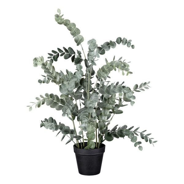 Dauerfloristik Eukalyptus-Pflanze getopft Grau-Grün 67cm