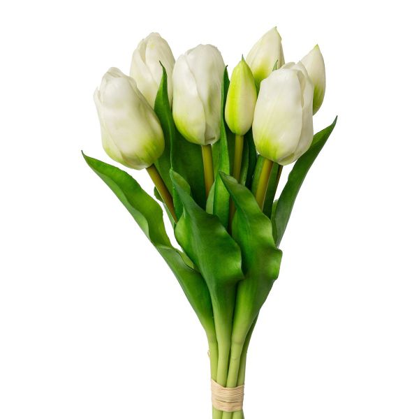 Tulpenstrauß mit 7 Tulpen gebunden Weiß 32 cm Dauerfloristik