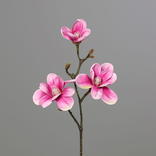 Magnolie mit 3 Blüten Pink 40cm bei Tischdeko-Shop.de