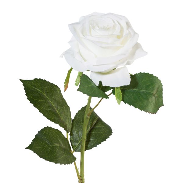 Rose Strauchrose Seidenblume Kunstblume weiß creme 50 cm 180310 F7 