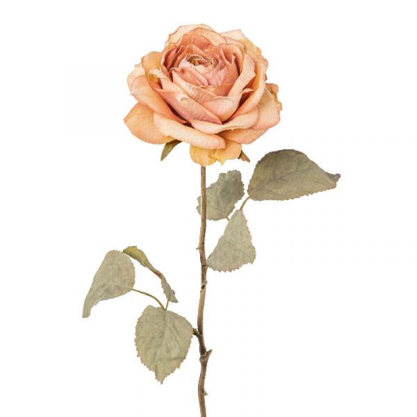 Rose Altrosa Seidenblume Trockenblumen-Look 56cm bei Tischdeko-Shop.de