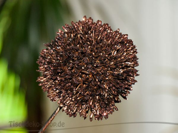 Kunstblume Allium Kupfer Blüte 10cm Länge 64cm