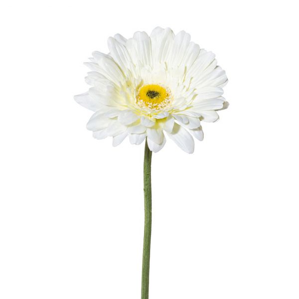 Seidenblume Kunstblume Gerbera Weiß 63cm
