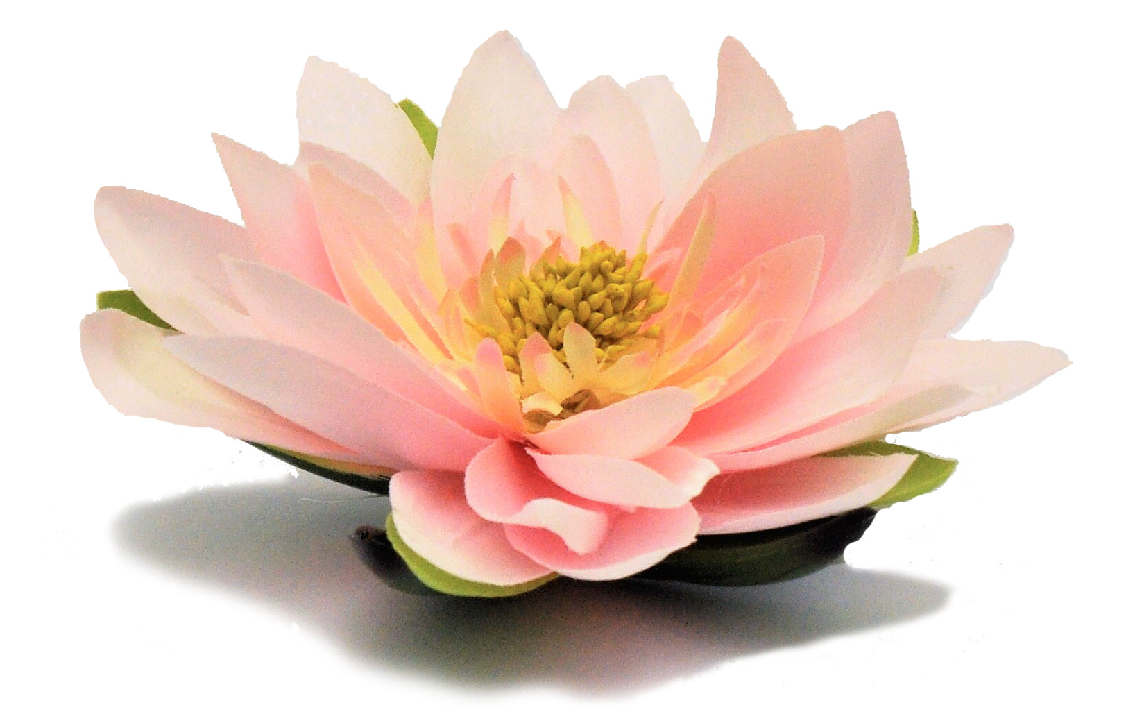 1 Lotusblüte 17cm Deko Blütenköpfe Seerose Künstliche Kunst Blumen Floristik 