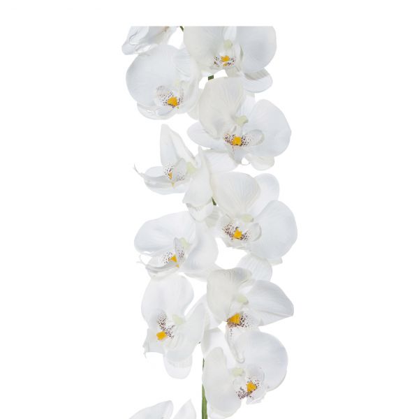 Orchideengirlande-weiss-180cm bei Tischdeko-Shop.de