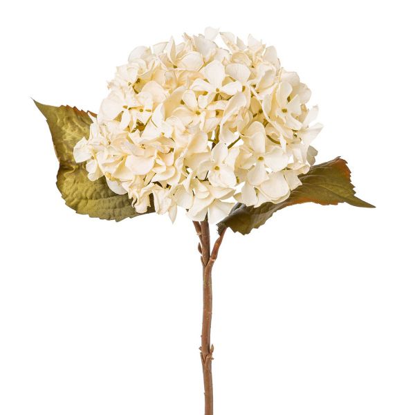 Hortensie Beige Seidenblume Trockenblumen-Look  46cm
