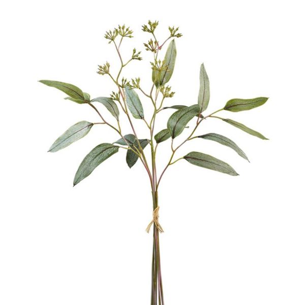 Eukalyptusbund Flora Grün 5 Stiele 55cm