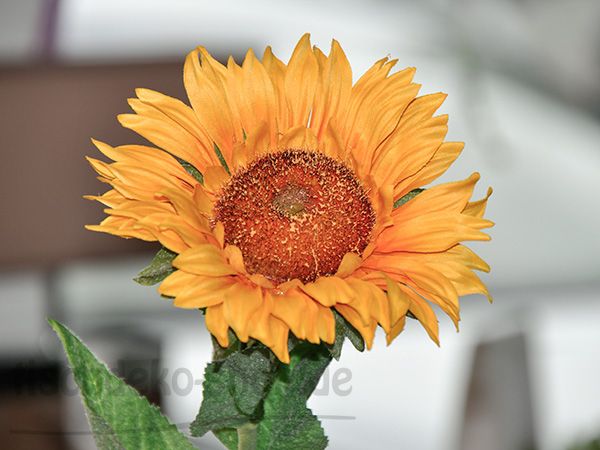 Sonnenblume 68cm
