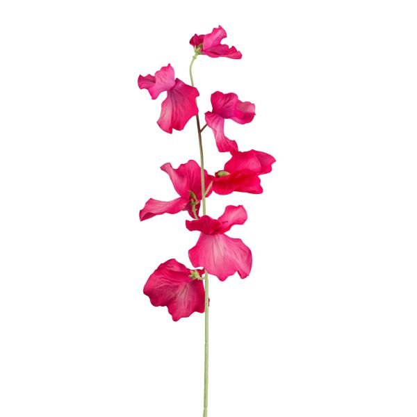 Seidenblume Wicke Pink 50 cm Dauerfloristik