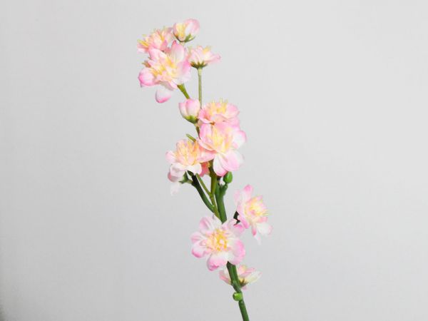 Kirschblütenzweig rosa 53cm