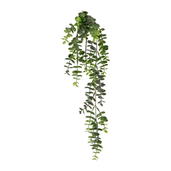 Eukalyptus-Hängezweig Grün 63cm Dauerfloristik