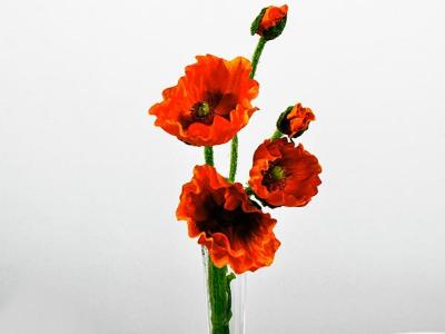 Mohn Orange/Rot 5er Bund 48cm Seidenblumen Dauerfloristik