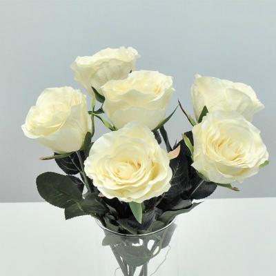 rosen-weiss-cream-42cm-6er-set-seidenblumen