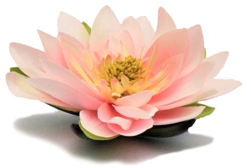 Lotusblüte / Seerose Rosa D 15cm