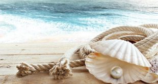 Strandmotiv - Sonne, Strand und Meer als Inspiration für die Tischdeko
