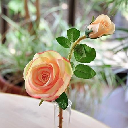 Rose "Romantic" mit 2 Blüten Apricot 52cm