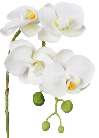 Phalaenopsis Orchidee Weiß 42cm Real Touch 