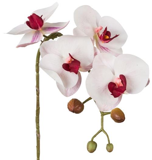 Phalaenopsis Orchidee Weiß Bordeaux 42cm Real Touch 