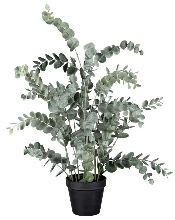 Dauerfloristik Eukalyptus-Pflanze getopft Grau-Grün 67cm